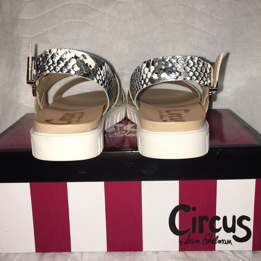 NWT Circus by Sam Edelman Snake Print Sandal Sz6.5 - Picture 5 of 7